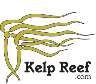 Kelp Reef Adventures